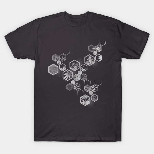 Original Weed Hexagon T-Shirt by Bongonation